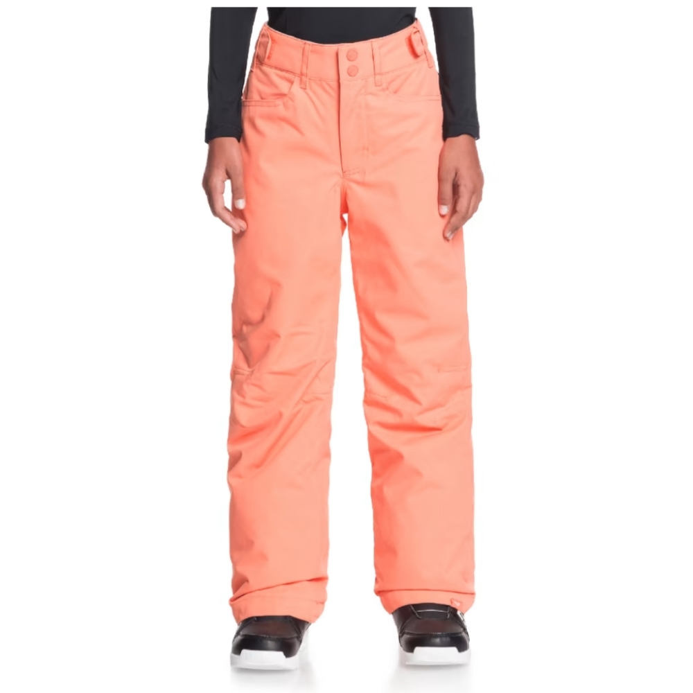 NWT Roxy's Backyard Girls Snowboard Pants